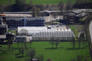 Startseite | Produktionsgärtnerei TAUTERMANN – St. Johann im Pongau / Salzburg image 6