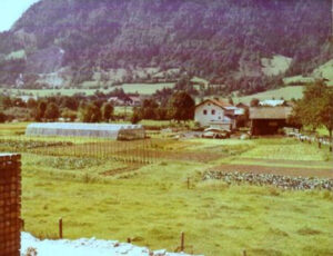 Über uns | Produktionsgärtnerei TAUTERMANN – St. Johann im Pongau / Salzburg image 1