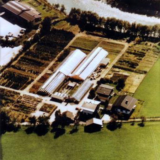 Über uns | Produktionsgärtnerei TAUTERMANN – St. Johann im Pongau / Salzburg image 2