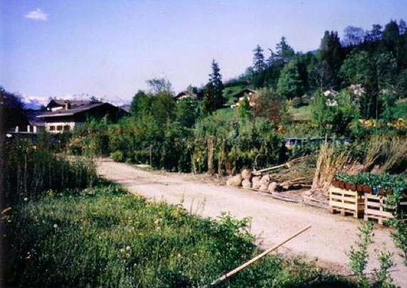 Über uns | Produktionsgärtnerei TAUTERMANN – St. Johann im Pongau / Salzburg image 3