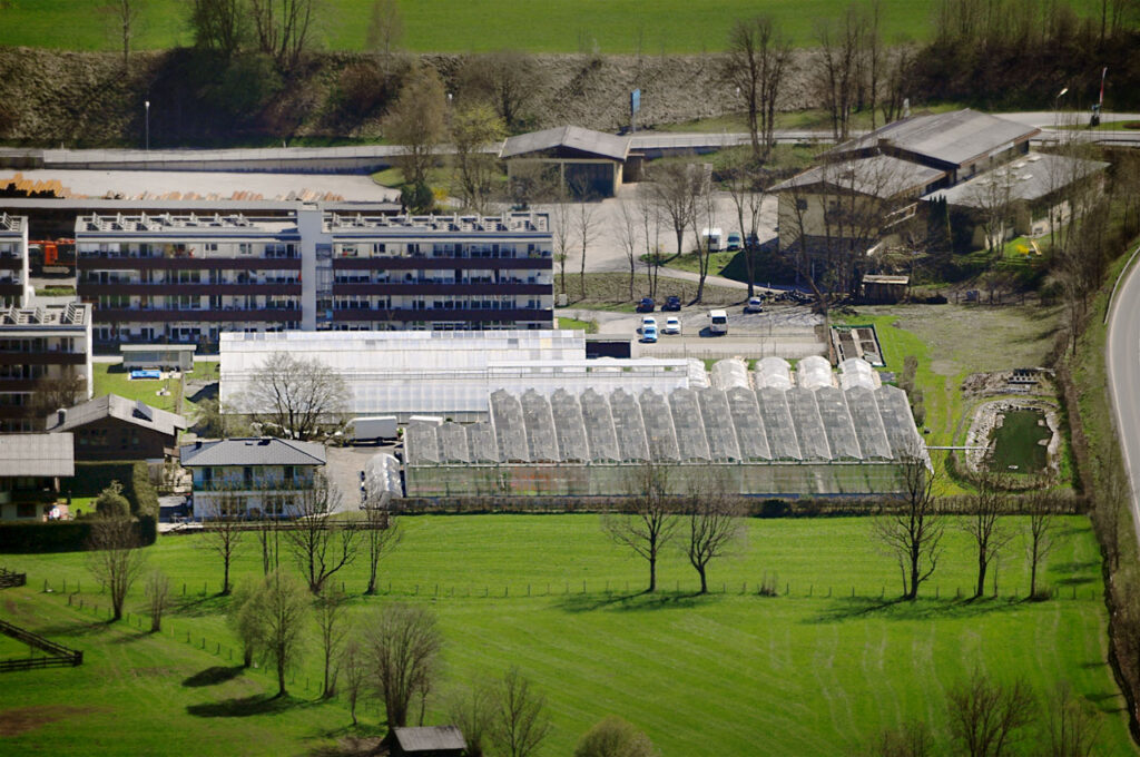 Startseite | Produktionsgärtnerei TAUTERMANN – St. Johann im Pongau / Salzburg image 1