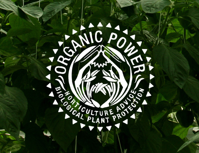 Tautermann hat mit Organic-Power einen neuen Partner gefunden | Produktionsgärtnerei TAUTERMANN – St. Johann im Pongau / Salzburg image 2