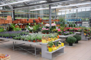 Hier erhältlich | Produktionsgärtnerei TAUTERMANN – St. Johann im Pongau / Salzburg image 11