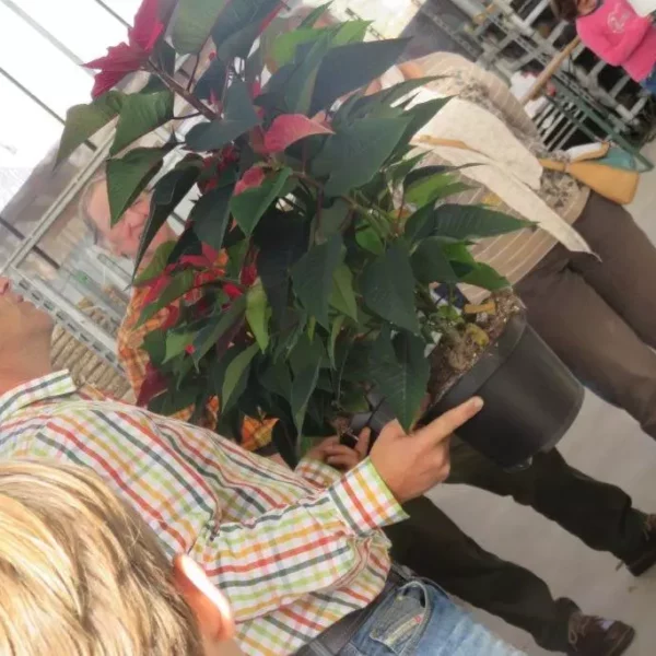 Mann hält Topf mit großer Pflanze in Gewächshaus, umgeben von mehreren Personen, darunter Kind mit pinkem Pullover.