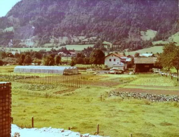 Über uns | Produktionsgärtnerei TAUTERMANN – St. Johann im Pongau / Salzburg image 1