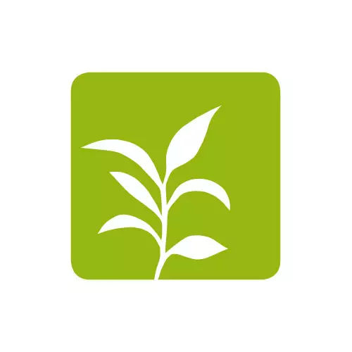 Weißes Pflanzenblatt-Symbol auf grünem quadratischem Hintergrund als Logo für Gartenbau Tautermann